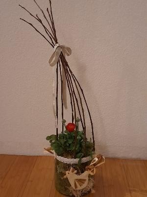 IMG-20210319-WA0002